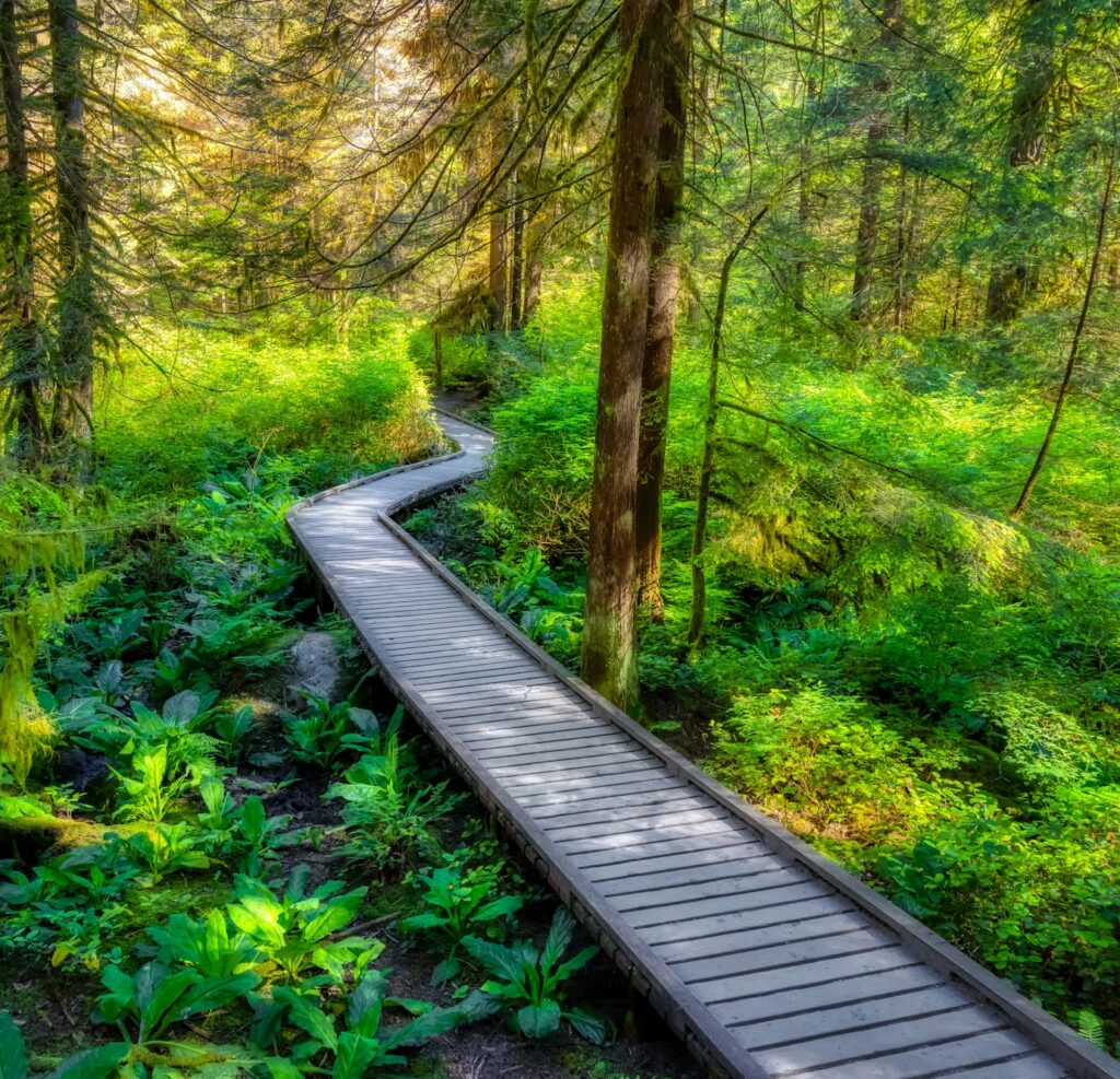 Lynn Canyon Park, North Vancouver, British Columbia, Canada